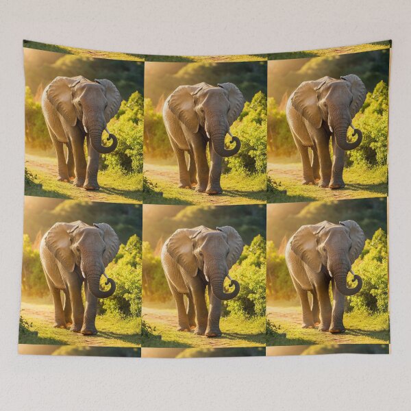 Item preview, Elephant Portrait. Elephant photo, vibrant elephant, vintage elephant, summer season designed and sold by ElephantVibes.