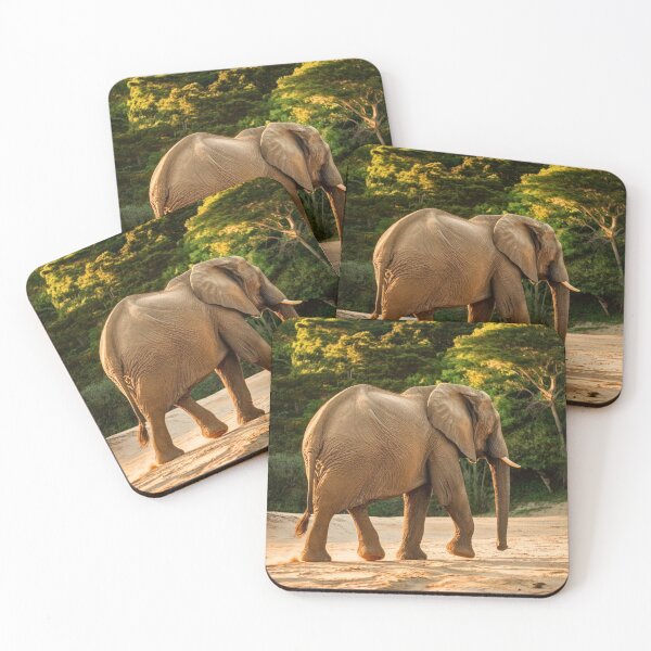 Item preview, Elephant Portrait. Elephant photo, vibrant elephant, vintage elephant, summer season designed and sold by ElephantVibes.