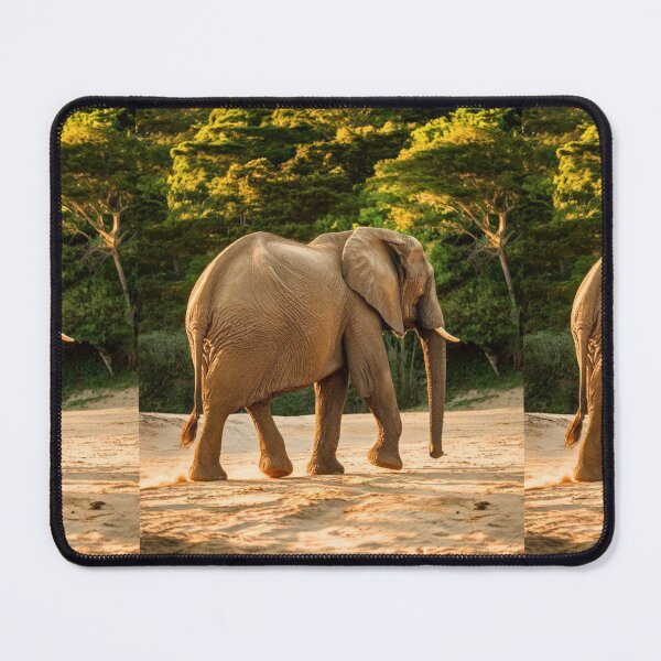 Item preview, Elephant Portrait. Elephant photo, vibrant elephant, vintage elephant, summer season designed and sold by ElephantVibes.