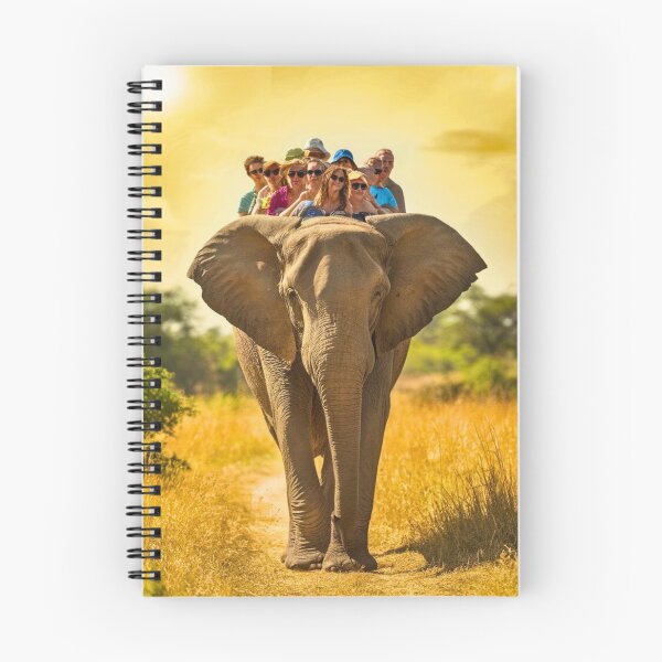Item preview, Elephant Portrait. Elephant photo, elephant riding, vibrant elephant, vintage elephant, summer season designed and sold by ElephantVibes.
