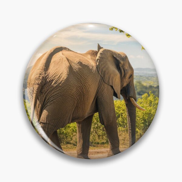 Item preview, Elephant Portrait. Elephant photo, vibrant elephant, vintage elephant, summer season designed and sold by ElephantVibes.