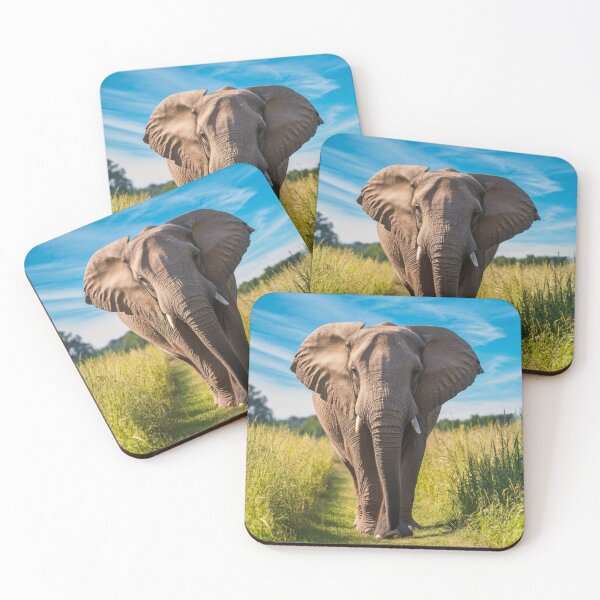 Item preview, Elephant Portrait. Elephant photo, vibrant elephant, vintage elephant, summer season designed and sold by ElephantVibes.