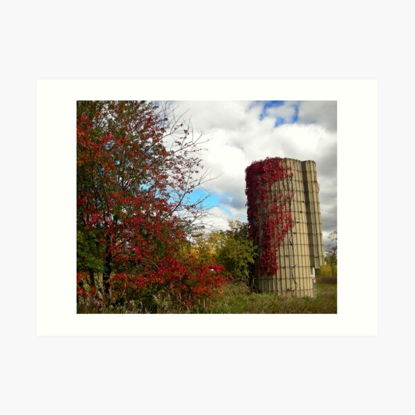 Autumn Scene Art Print