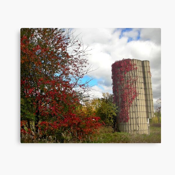 Autumn Scene Metal Print