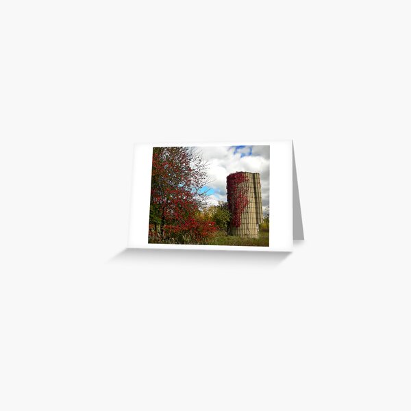 Autumn Scene Greeting Card