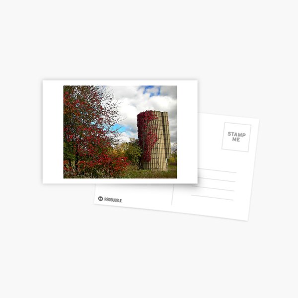 Autumn Scene Postcard