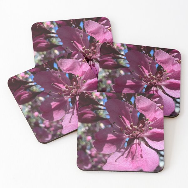 Item preview, Plum Tree Bloom designed and sold by Betsy Phillips.