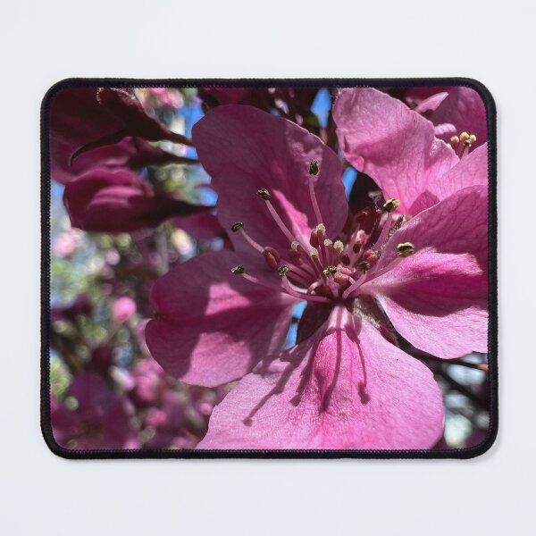 Item preview, Plum Tree Bloom designed and sold by Betsy Phillips.