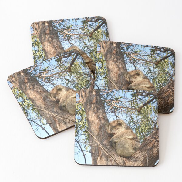 Item preview, Australian Native Koala in crook of tree designed and sold by FancifulsBySue.