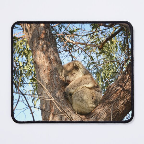 Item preview, Australian Native Koala in crook of tree designed and sold by FancifulsBySue.