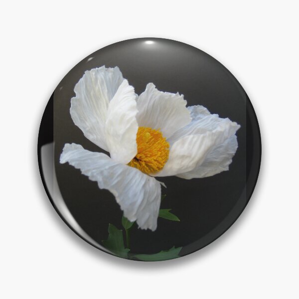 Item preview, Matilija Poppy AKA Fried Egg Poppy from California designed and sold by JoyousArt4u.