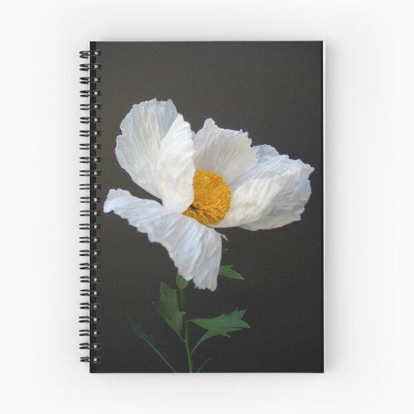 Item preview, Matilija Poppy AKA Fried Egg Poppy from California designed and sold by JoyousArt4u.