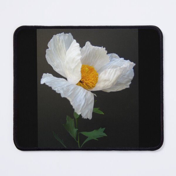 Item preview, Matilija Poppy AKA Fried Egg Poppy from California designed and sold by JoyousArt4u.