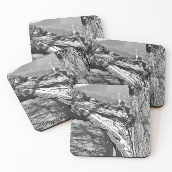 Item preview, Winters Acorn Tree Wounded designed and sold by Joy Watson - Natural Light Photography .