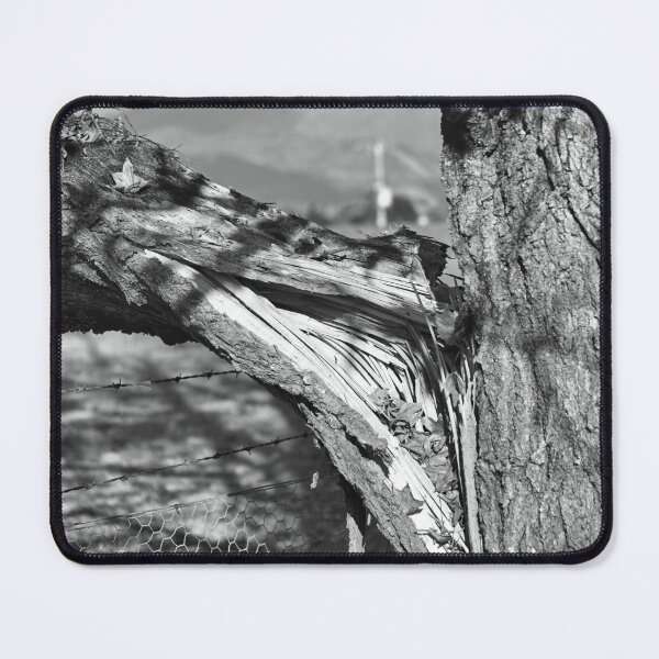 Item preview, Winters Acorn Tree Wounded designed and sold by Joy Watson - Natural Light Photography .