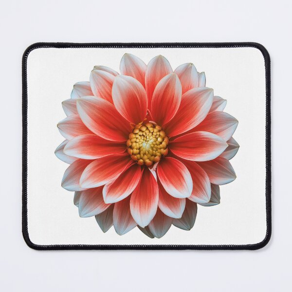 Item preview, Red and White Flower designed and sold by seeitknowit.
