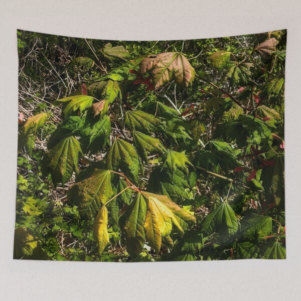 Item preview, The Take Over designed and sold by Steve Walser.