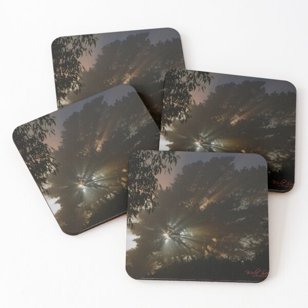 Item preview, 2024 Autumn Fog (16) designed and sold by Wolf Sverak Photography.