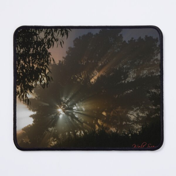 Item preview, 2024 Autumn Fog (16) designed and sold by Wolf Sverak Photography.