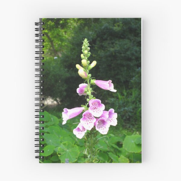 Item preview, Purple and White Foxglove: Beginning to Bloom designed and sold by JoyousArt4u.