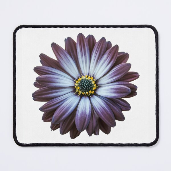 Item preview, Purple Flower designed and sold by seeitknowit.