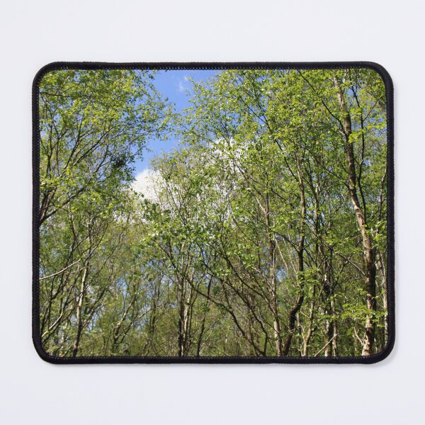 Item preview, woodland designed and sold by KathleenDawson.