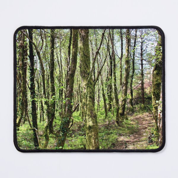 Item preview, woodland designed and sold by KathleenDawson.