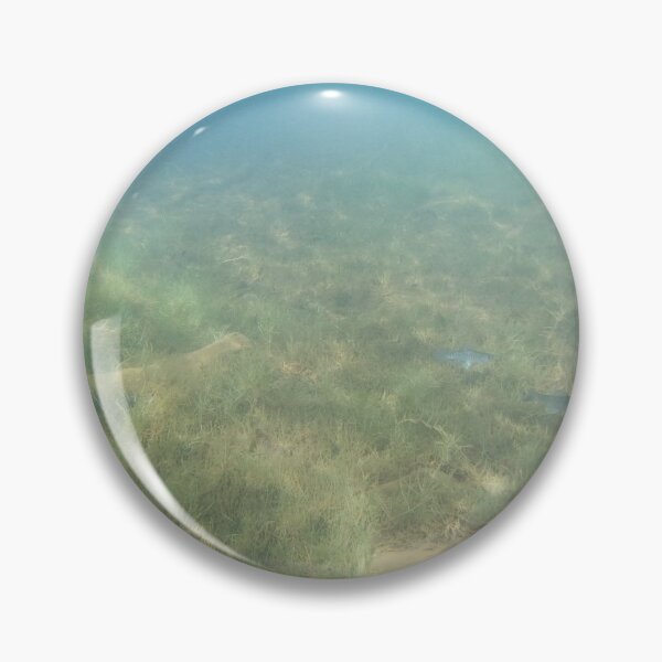 Item preview, Canadian Scenery: Lake Underwater designed and sold by Studio LeDauphin.