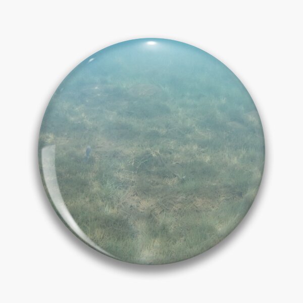 Item preview, Canadian Scenery: Lake Underwater designed and sold by Studio LeDauphin.