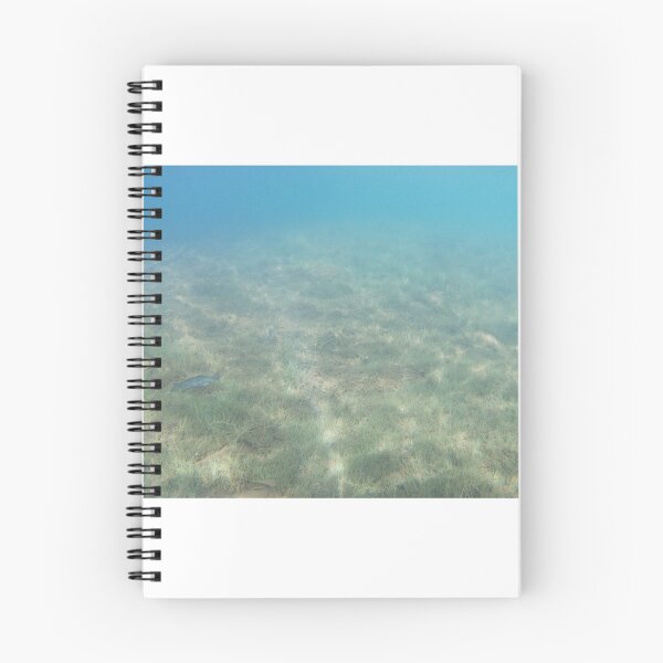Item preview, Canadian Scenery: Lake Underwater designed and sold by Studio LeDauphin.