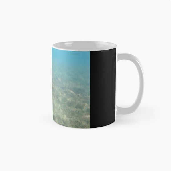 Item preview, Canadian Scenery: Lake Underwater designed and sold by Studio LeDauphin.