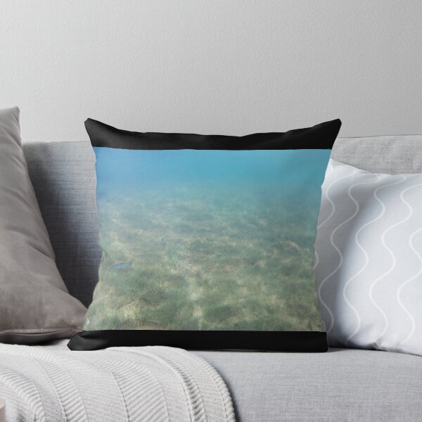 Item preview, Canadian Scenery: Lake Underwater designed and sold by Studio LeDauphin.