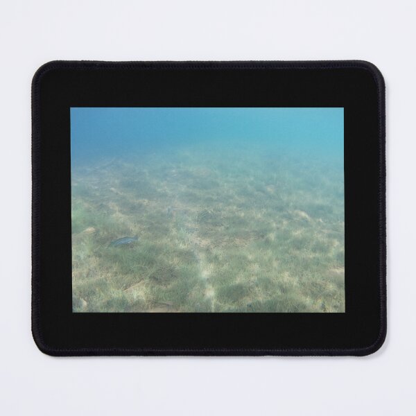 Item preview, Canadian Scenery: Lake Underwater designed and sold by Studio LeDauphin.