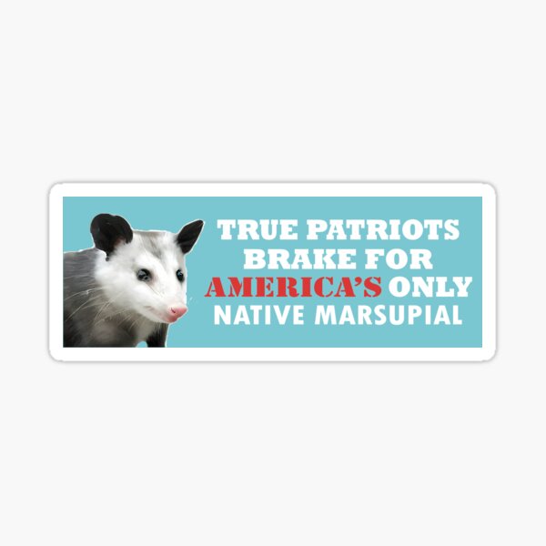 Vista previa del artículo con la obra «Verdaderos patriotas, freno por el único parachoques de zarigüeya marsupial nativo de Estados Unidos», diseñado y vendido por BUMPER-STICKERS.