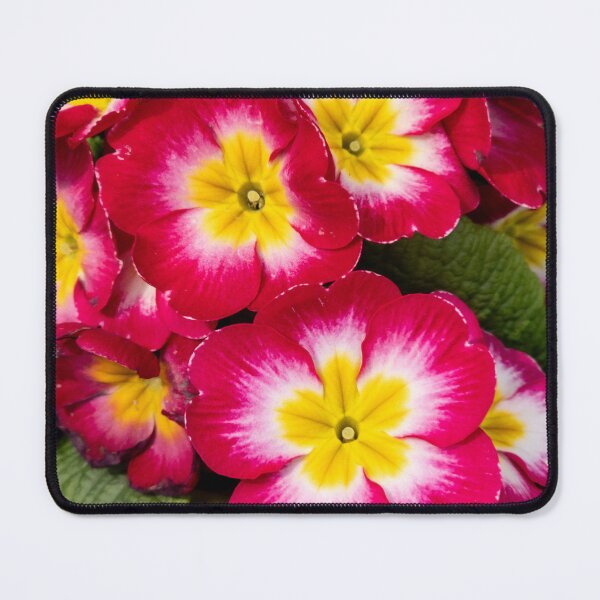 Item preview, red primula designed and sold by yunee.