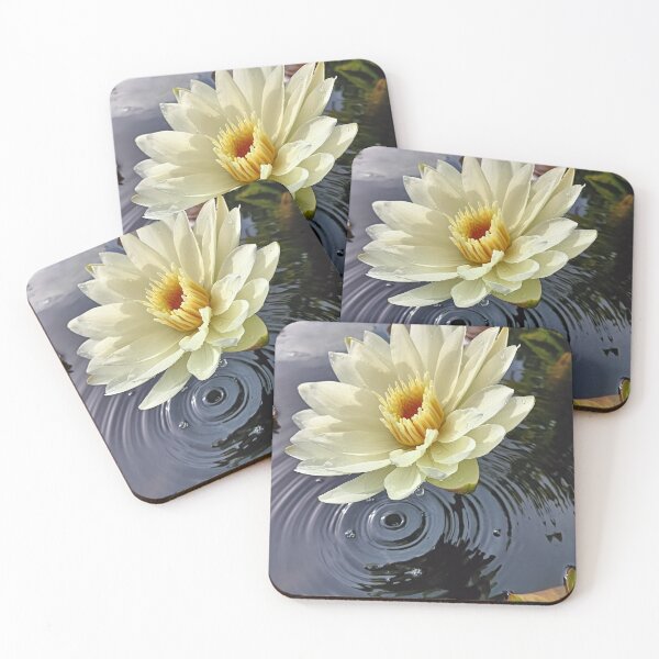 Item preview, Nymphaea White Delight Waterlily. designed and sold by Graham Colton.