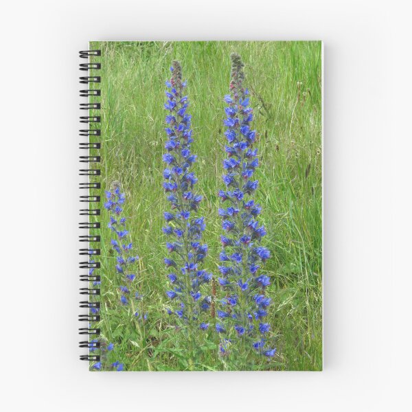 Item preview, Viper's Bugloss designed and sold by wiggyofipswich.