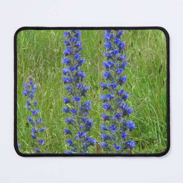 Item preview, Viper's Bugloss designed and sold by wiggyofipswich.