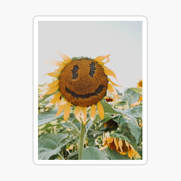 Item preview, Sunflower Smiles designed and sold by Reshift Photography.