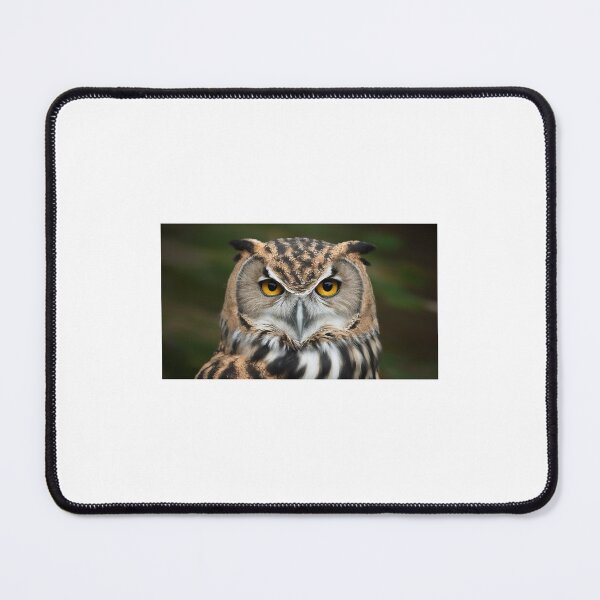 Item preview, Majestic owl designed and sold by Bellas-Artes-99.