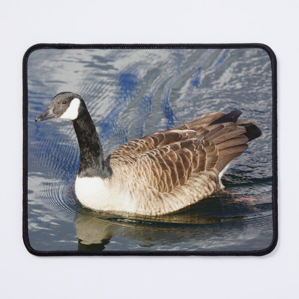 Item preview, Branta canadensis designed and sold by Norwegian Outdoors.