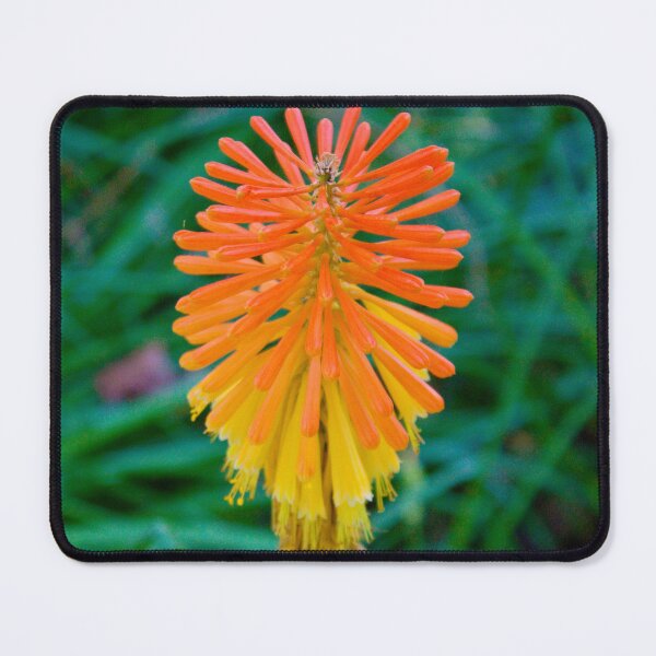 Item preview, like a sun designed and sold by Tereza Pilar  Art.