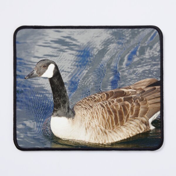 Item preview, Branta canadensis designed and sold by Norwegian Outdoors.