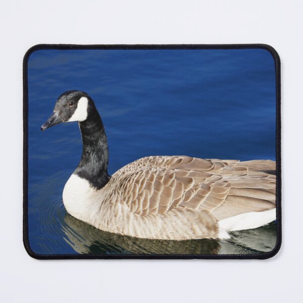Item preview, Branta canadensis designed and sold by Norwegian Outdoors.