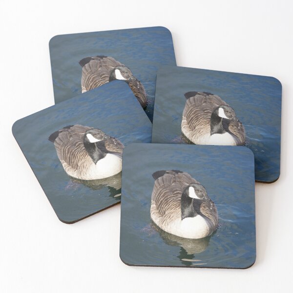 Item preview, Branta canadensis designed and sold by Norwegian Outdoors.
