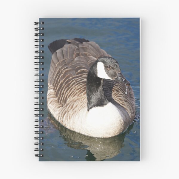 Item preview, Branta canadensis designed and sold by Norwegian Outdoors.