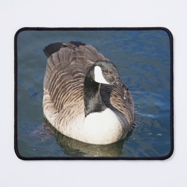 Item preview, Branta canadensis designed and sold by Norwegian Outdoors.