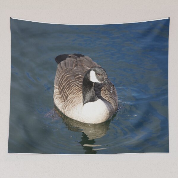 Item preview, Branta canadensis designed and sold by Norwegian Outdoors.