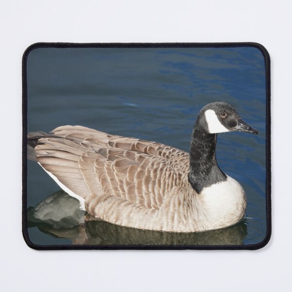Item preview, Branta canadensis designed and sold by Norwegian Outdoors.