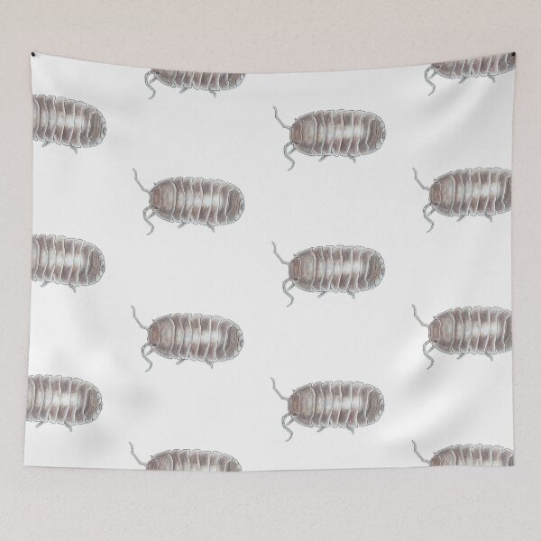 Item preview, Armadillidium depressum designed and sold by Postablepods.